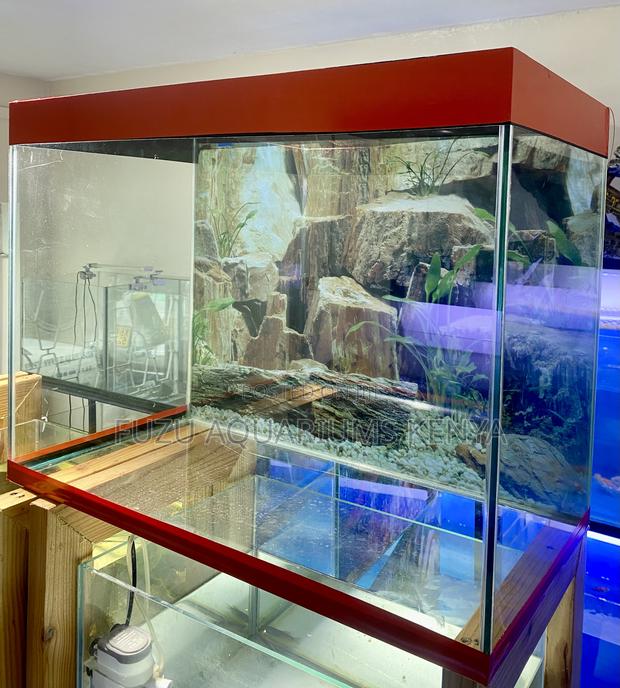 Compact Design, Big Fish Dreams, Classy Aquarium