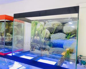 Fishkeeping Fun Starts With This Aquarium - thumbnail 2
