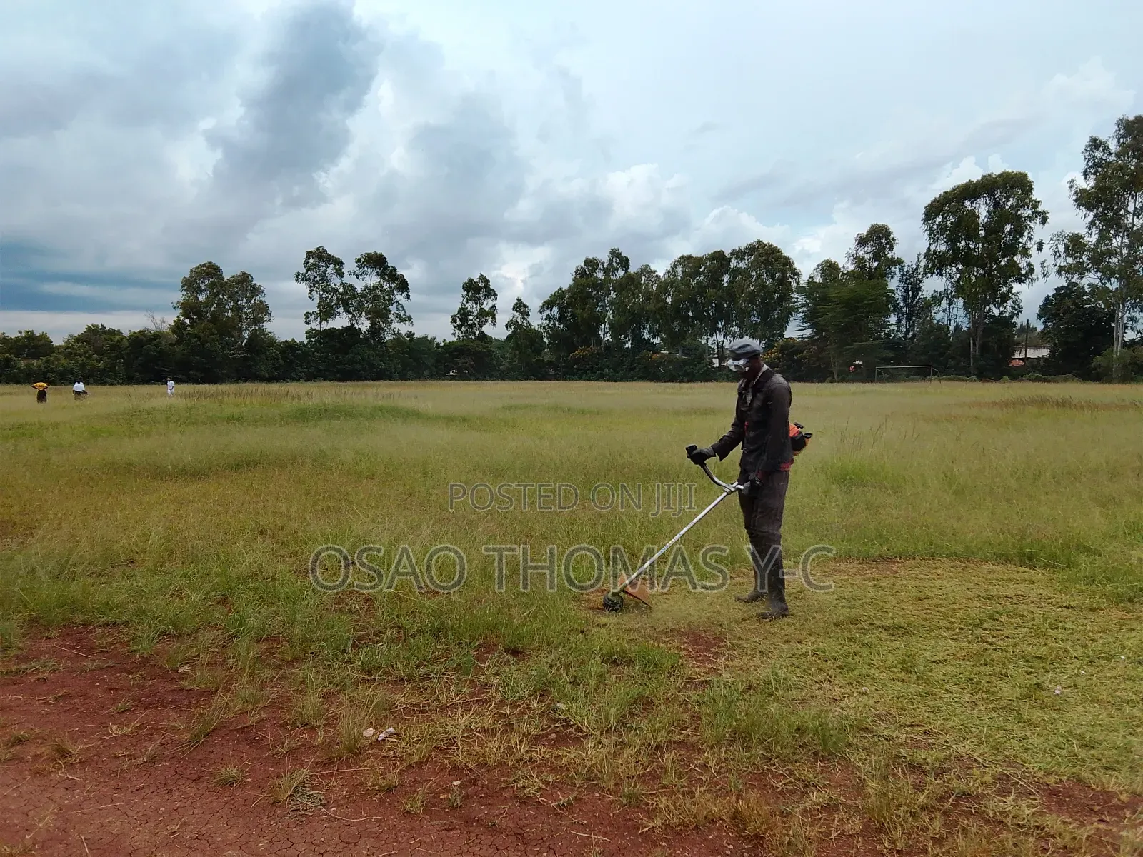 Landscaping and Grass Cutting