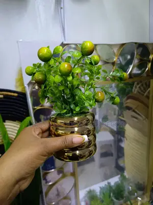 Bonsai Flower in a Gold Vase for Interior Decor