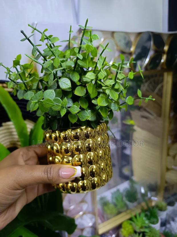 Beautiful Bonsai Flower in a Gold Flower Vass for Decor