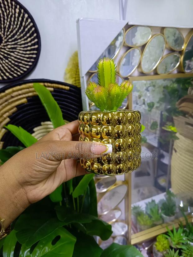 Cactus Succulent in a Gold Flower Pot for Decor
