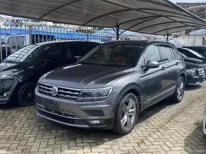 Volkswagen Tiguan 2018 Brown