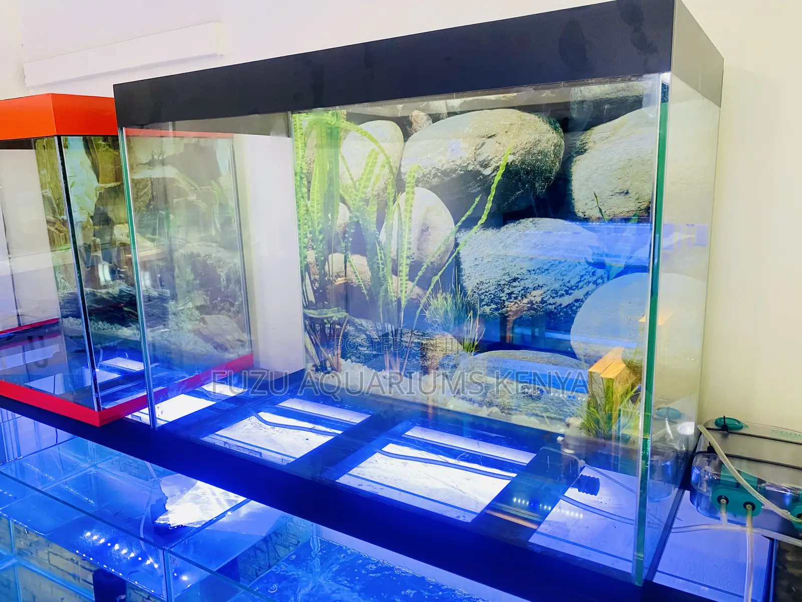 Your Fish’S Dream Home, Black Trimmed Aquarium