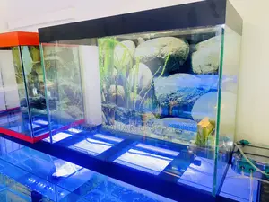 Your Fish’S Dream Home, Black Trimmed Aquarium