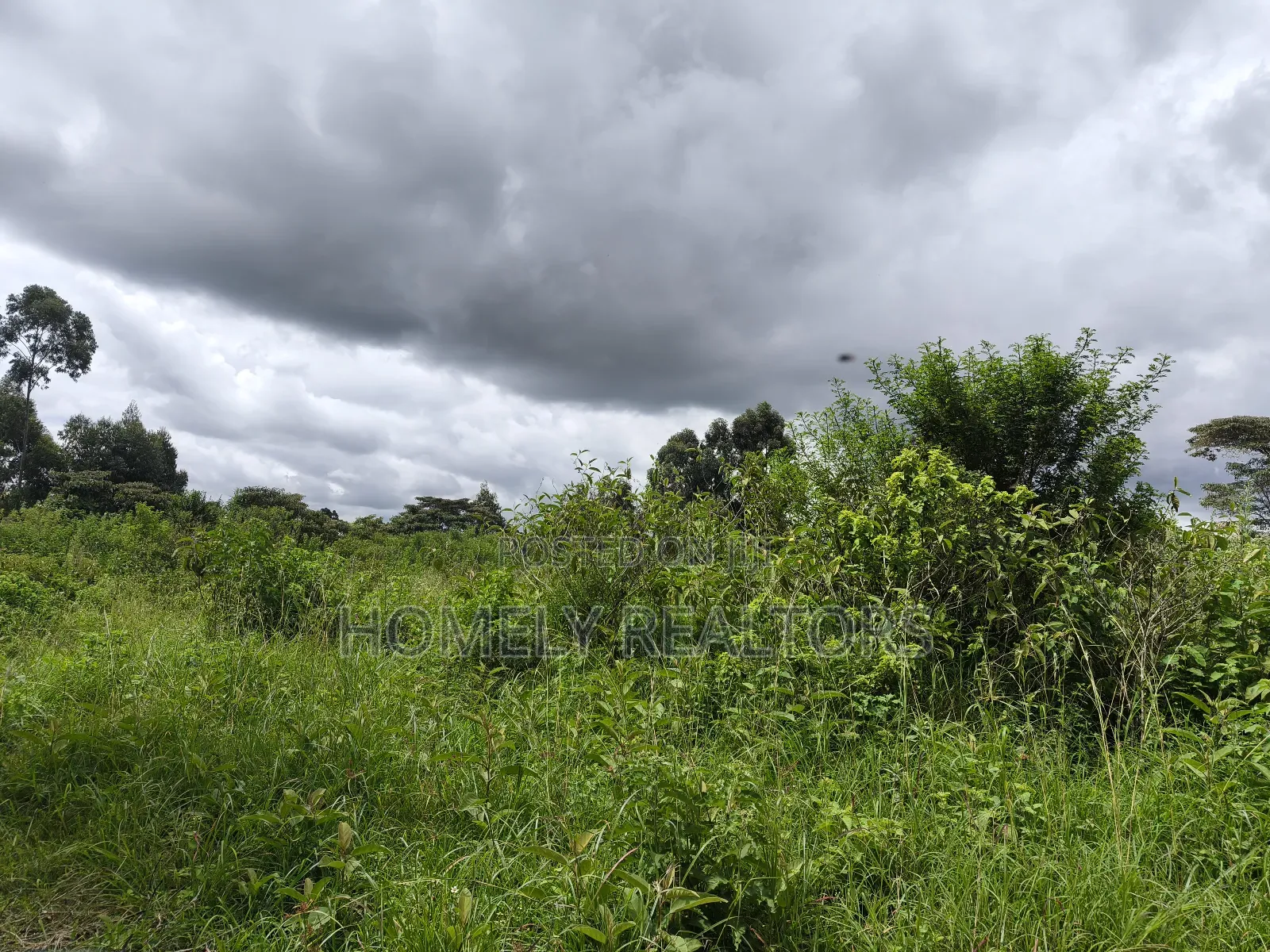 Quarter Acre Plot in Ngong, Kahara Near the Main Road