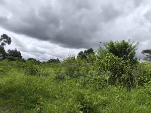 Quarter Acre Plot in Ngong, Kahara Near the Main Road