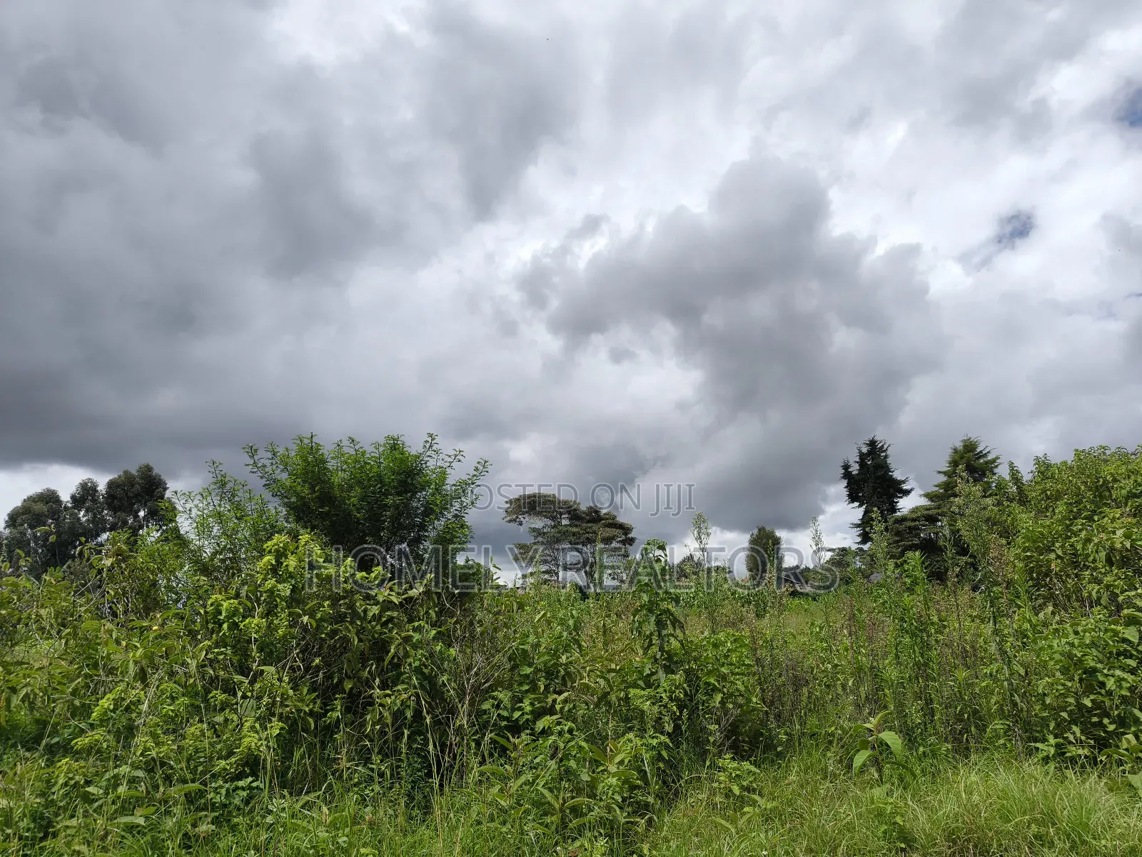 Quarter Acre Plot in Ngong, Kahara Near the Main Road