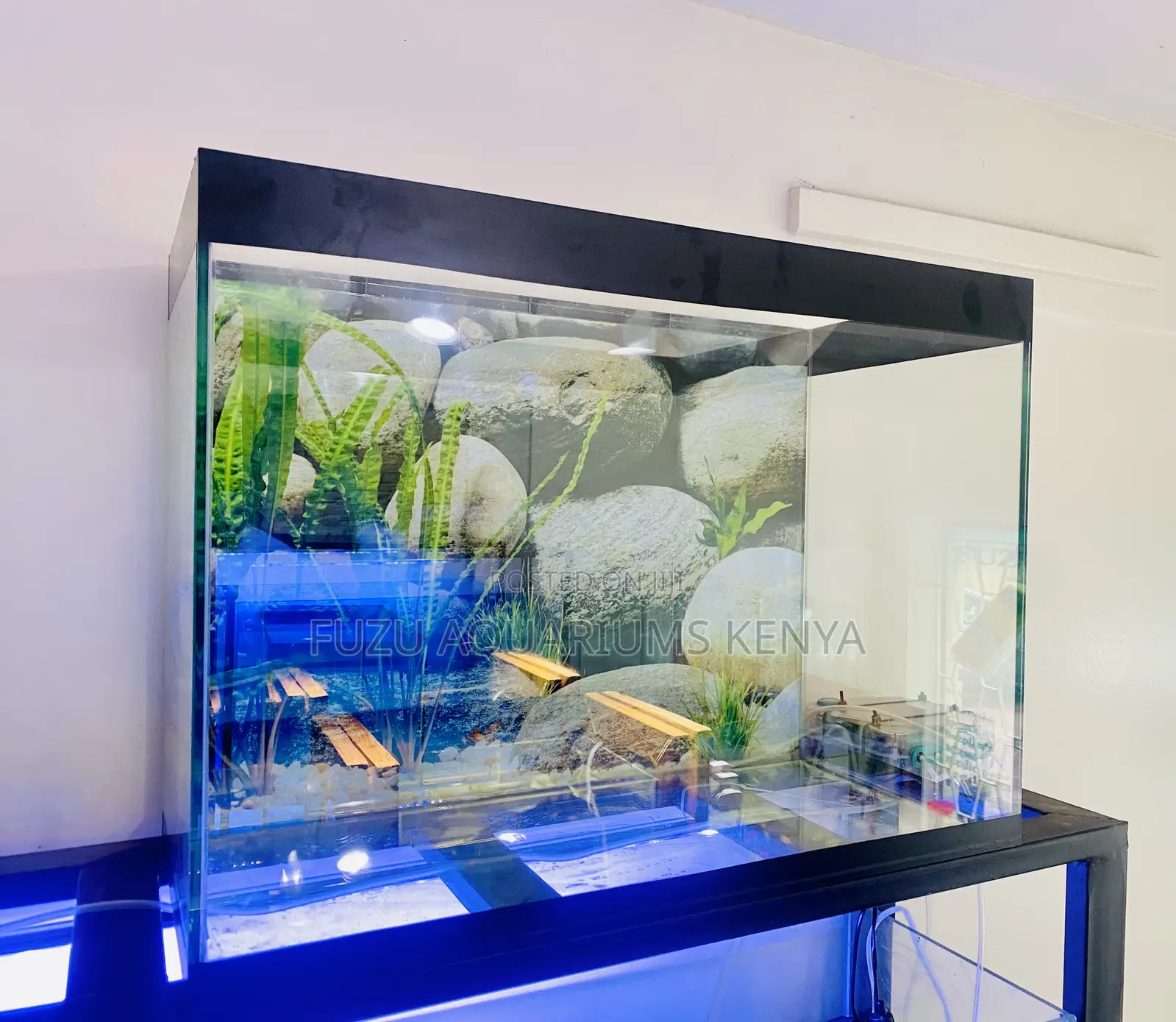 From Aquarium to Tranquility in Minutes