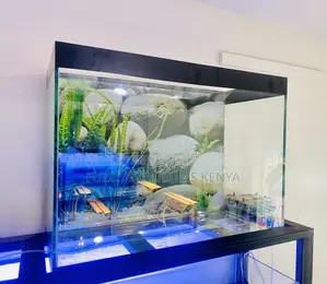 From Aquarium to Tranquility in Minutes