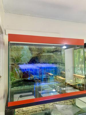 Create a Live Artwork With This Fish Aquarium - thumbnail 2