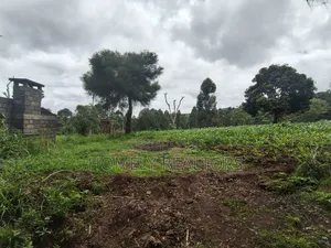 5 Acres of Fertile Farmland in Ngong, Kahara, Upper Matasia