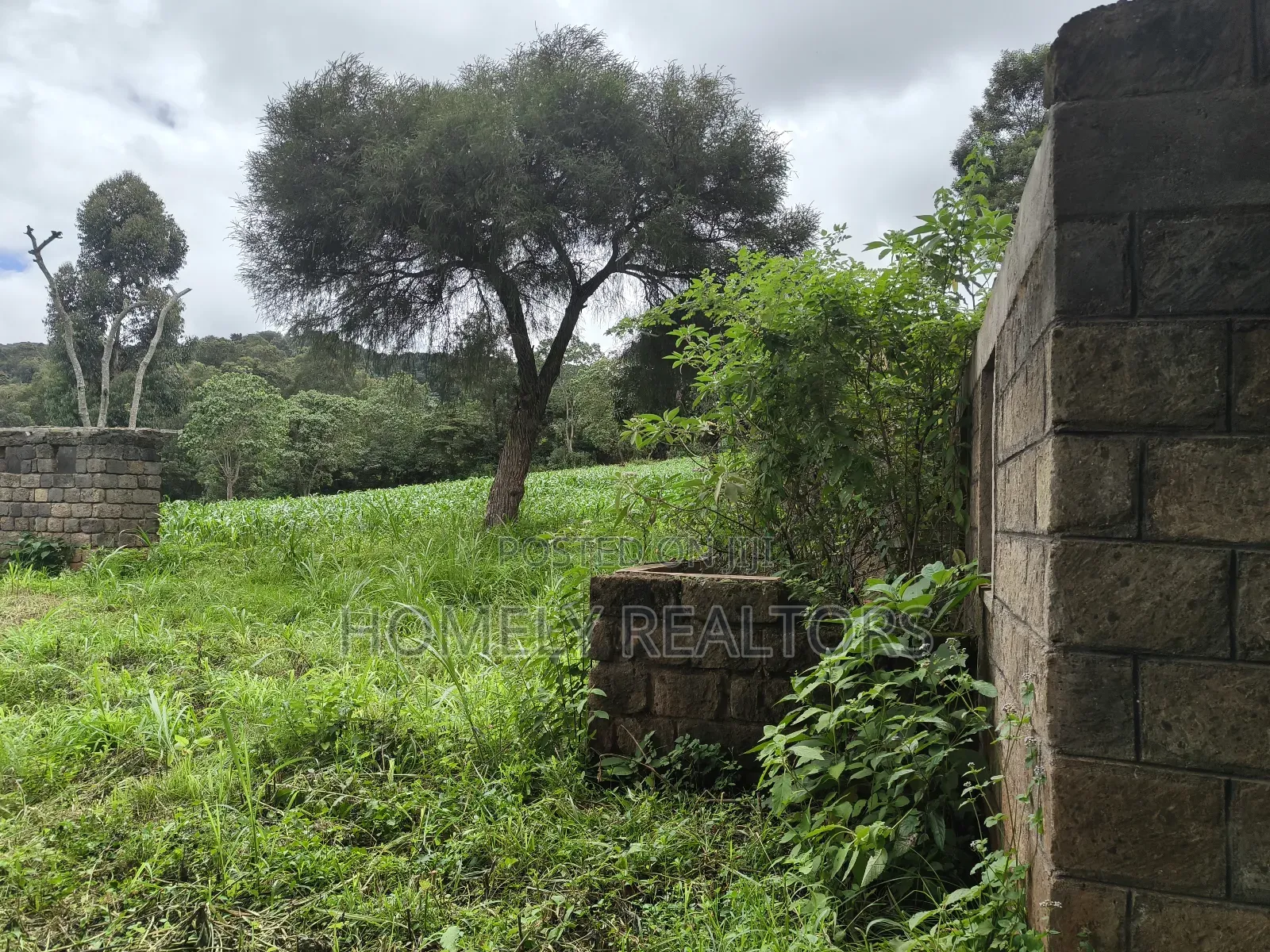 5 Acres of Fertile Farmland in Ngong, Kahara, Upper Matasia