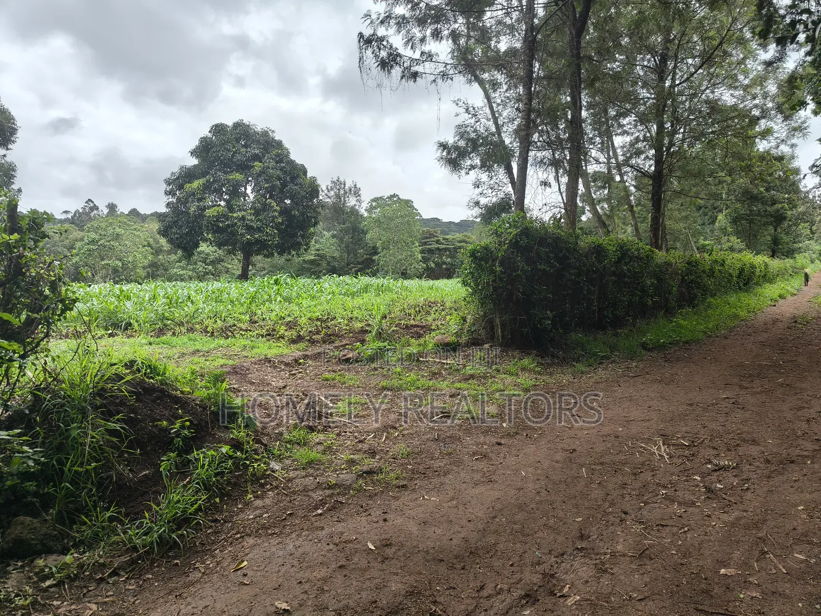 5 Acres of Fertile Farmland in Ngong, Kahara, Upper Matasia