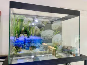 An Aquarium That Lights Up the Room