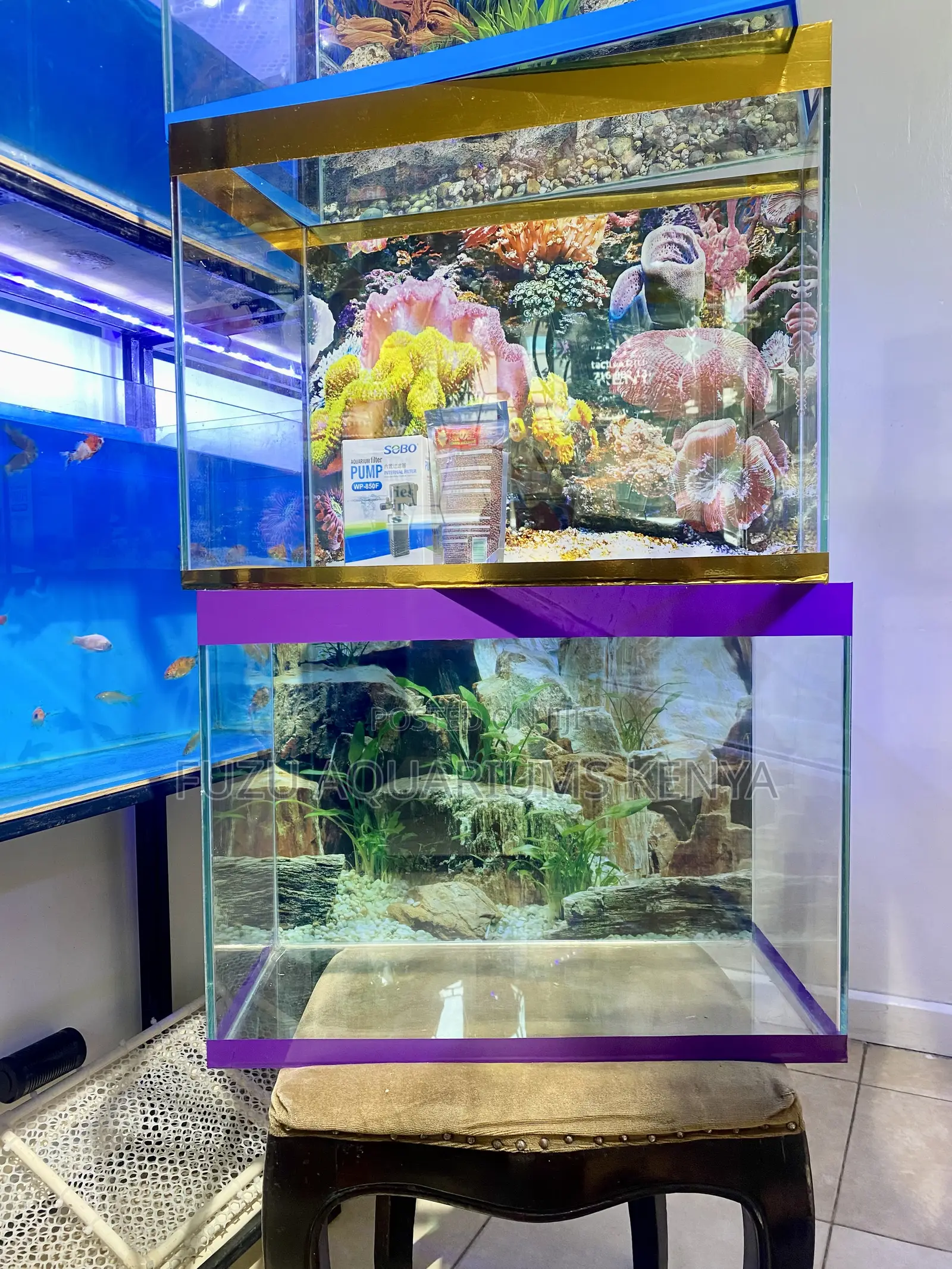 Upgrade Your Décor With an Aquarium Kit
