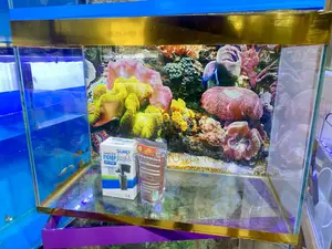 Escape to the Ocean With This Gold Trim Aquarium