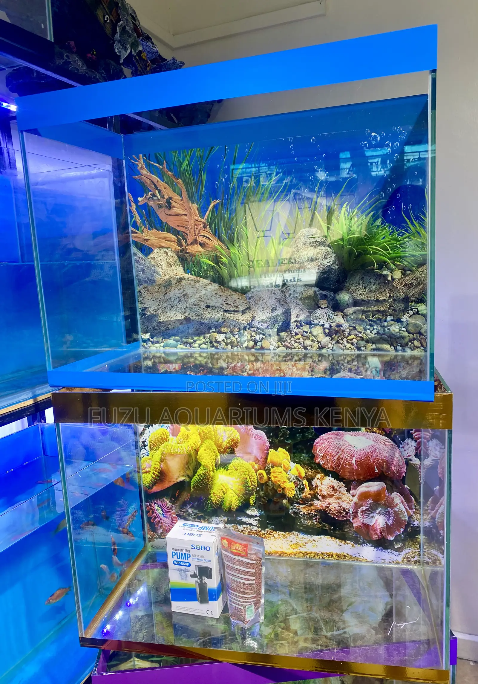 Aquarium Kit That Fits Anywhere