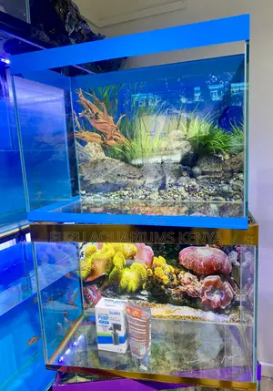 Aquarium Kit That Fits Anywhere