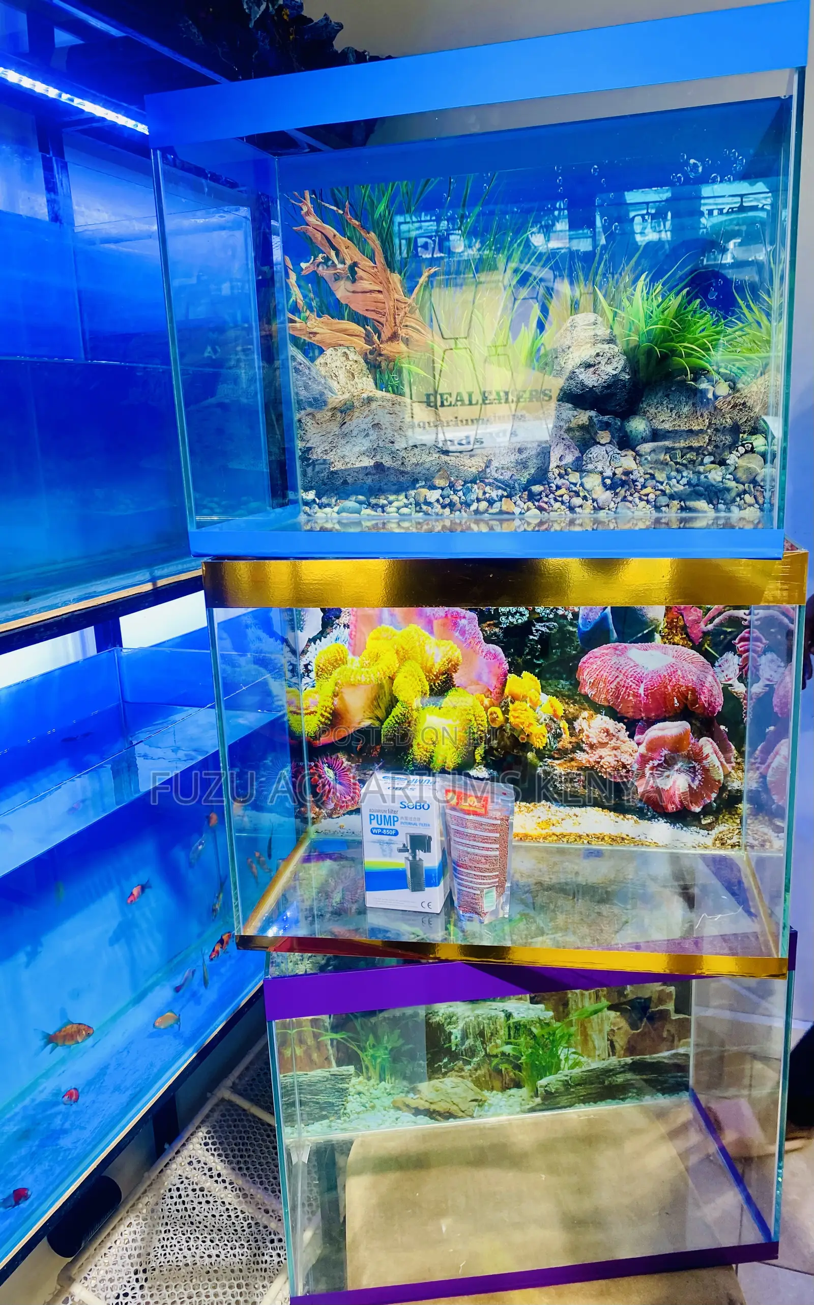 Turn Empty Space Into Underwater Magic Aquarium
