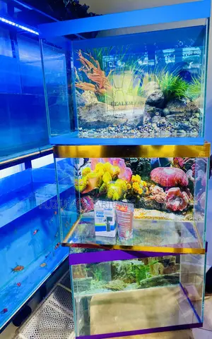 Turn Empty Space Into Underwater Magic Aquarium