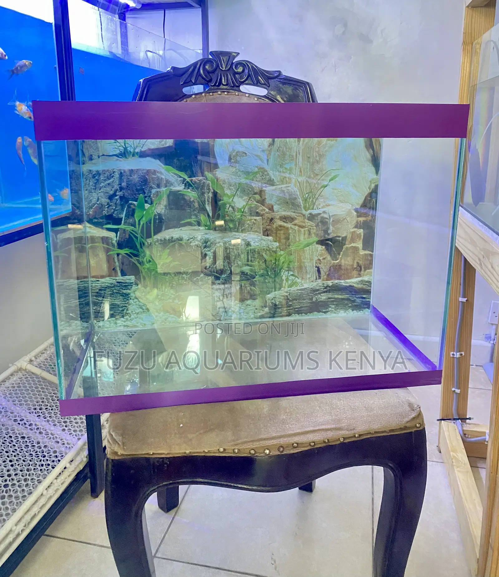 Compact Aquarium Kit With Classy Touches