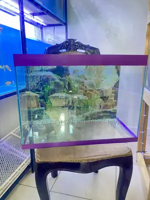 60 Litres Aquarium Perfect for Small Homes Big Hearts