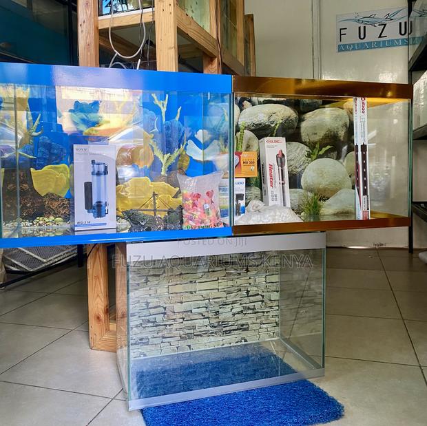 Aquarium Deal of the Month - main view