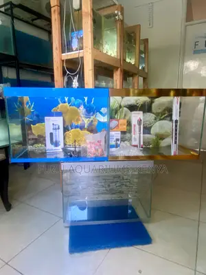 Complete 2ft Aquarium Kit – Comes Loaded