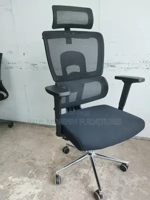 Reclining Orthopedic Office Chair