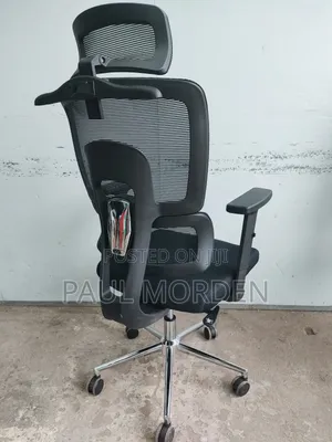 Reclining Orthopedic Office Chair