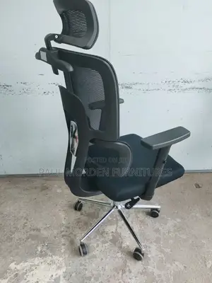 Office Orthopedic Orthopaedic Chair