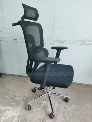 Smartest Orthopedic Office Chair