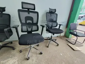 Orthopedic High Back Office Chair