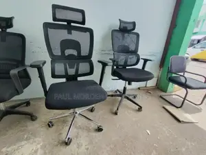 Orthopedic High Back Office Chair