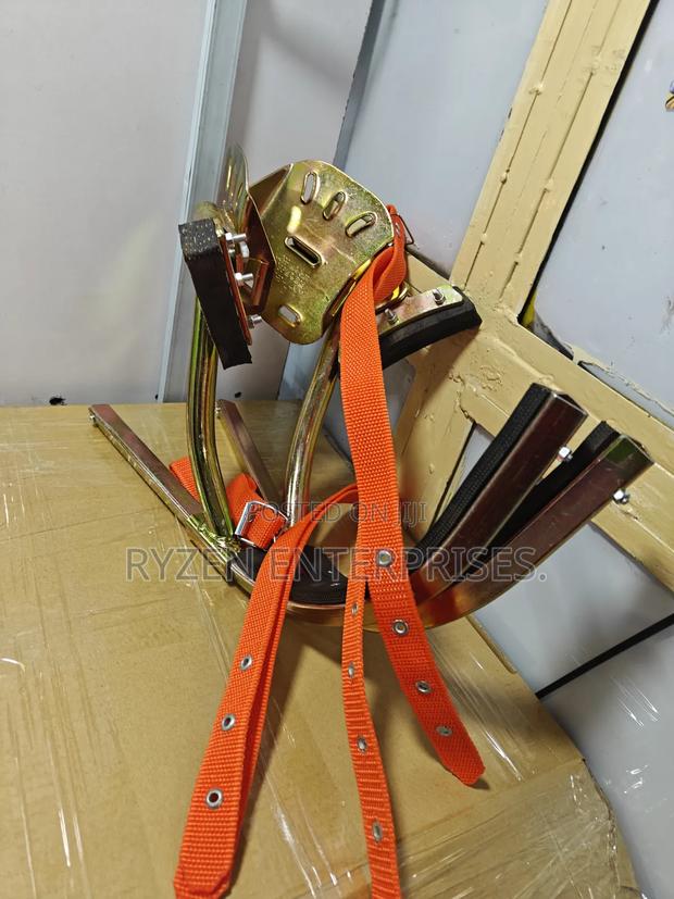 Pole Climbers - main view