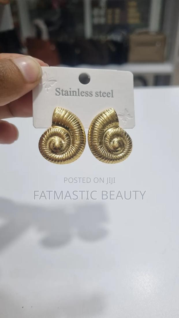 Stainless Steel Earrings - main view
