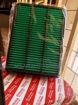 Genuine Air Filter Toyota Prado 120/150