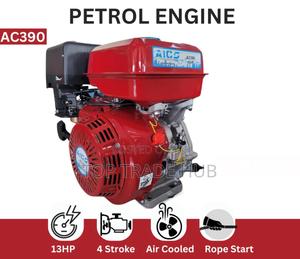 Robust Aico Agricultural Petrol Engine 13hp - thumbnail 2