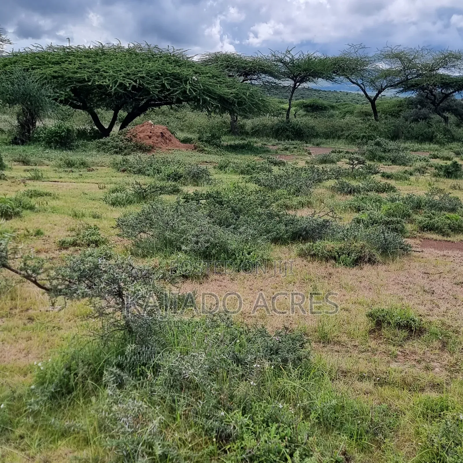 5 Acres Before Najiletown at Per Acre