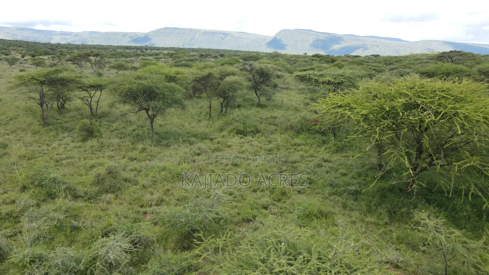5 Acres Before Najiletown at Per Acre