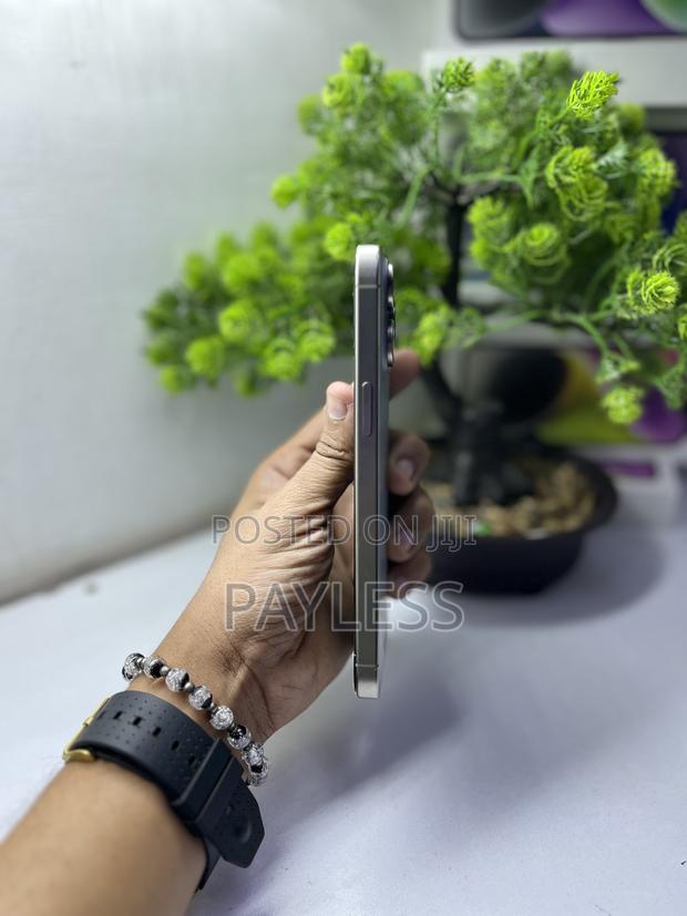 Apple iPhone 15 Pro Max 256 GB Gray - thumbnail 3