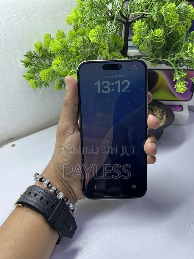 Apple iPhone 15 Pro Max 256 GB Gray - main view