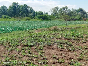 9 Acres Prime Land Eldoret Kiplombe