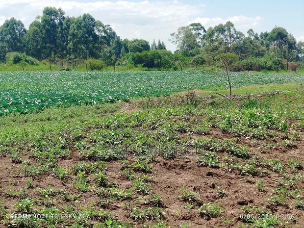 9 Acres Prime Land Eldoret Kiplombe - thumbnail 2