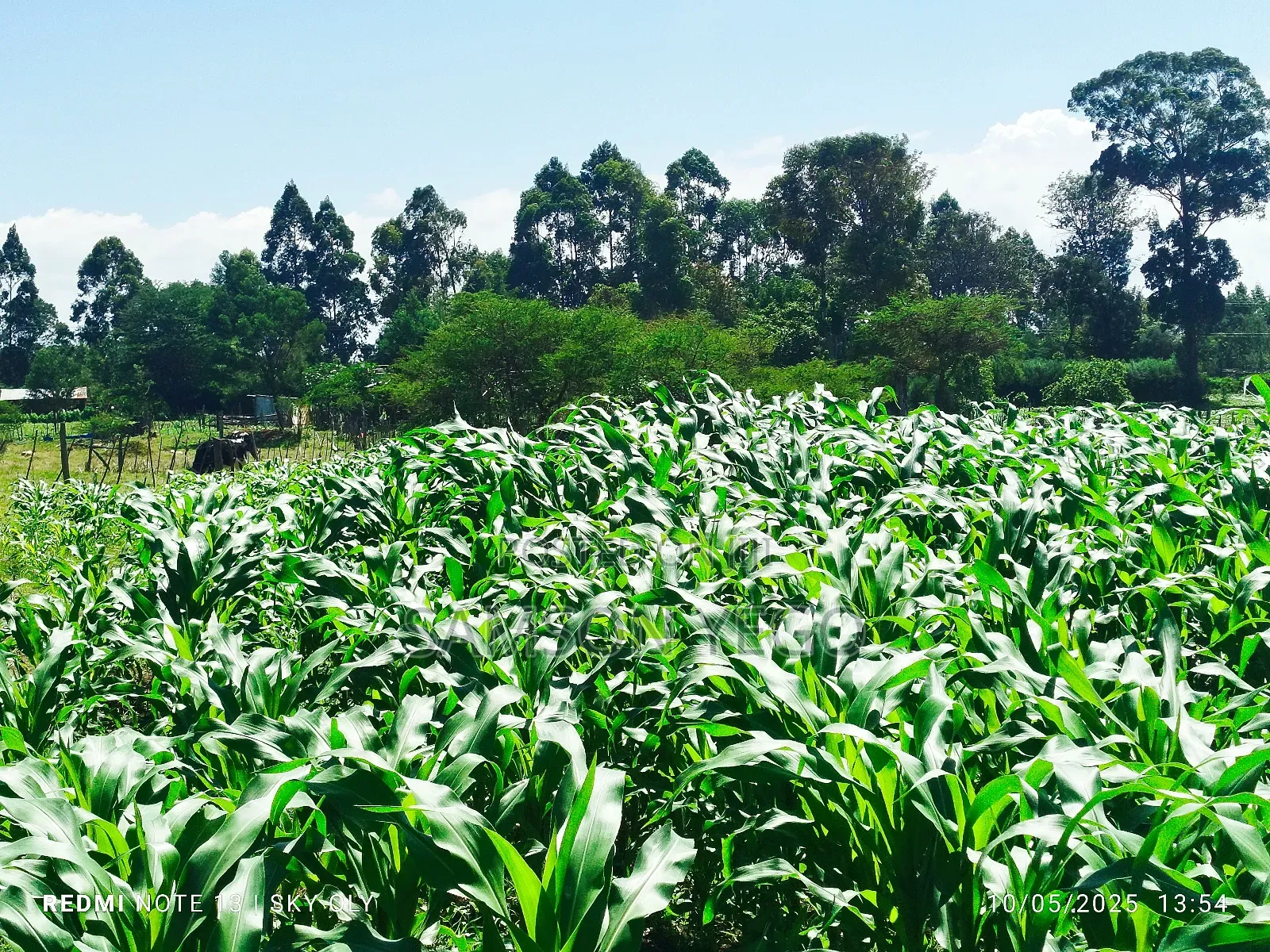 9 Acres Prime Land Eldoret Kiplombe