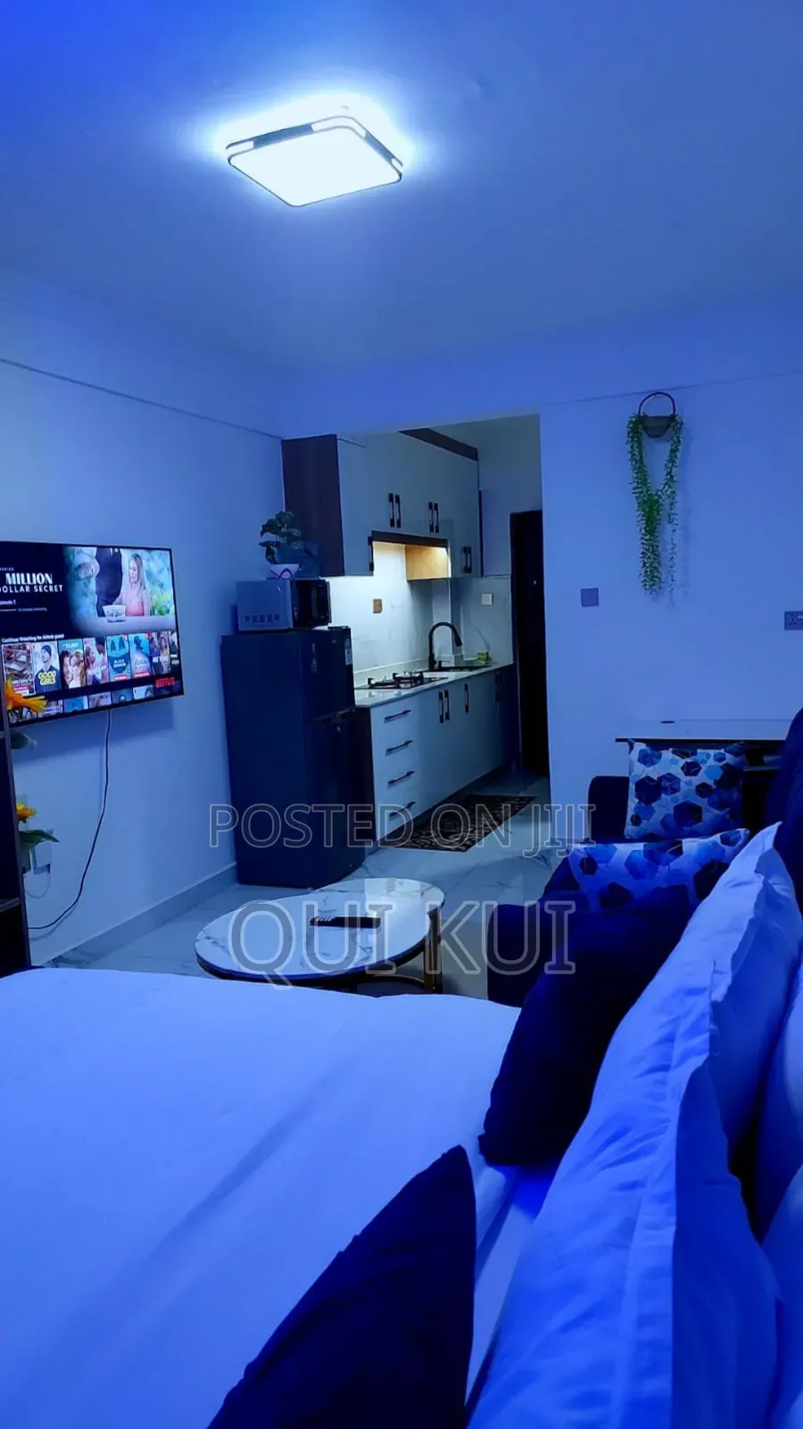 Airbnb Studio Apartment - Wood Avenue Kilimani