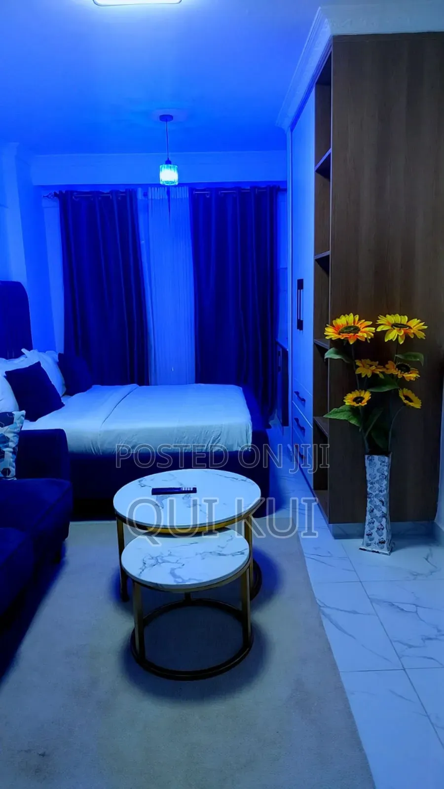 Airbnb Studio Apartment - Wood Avenue Kilimani