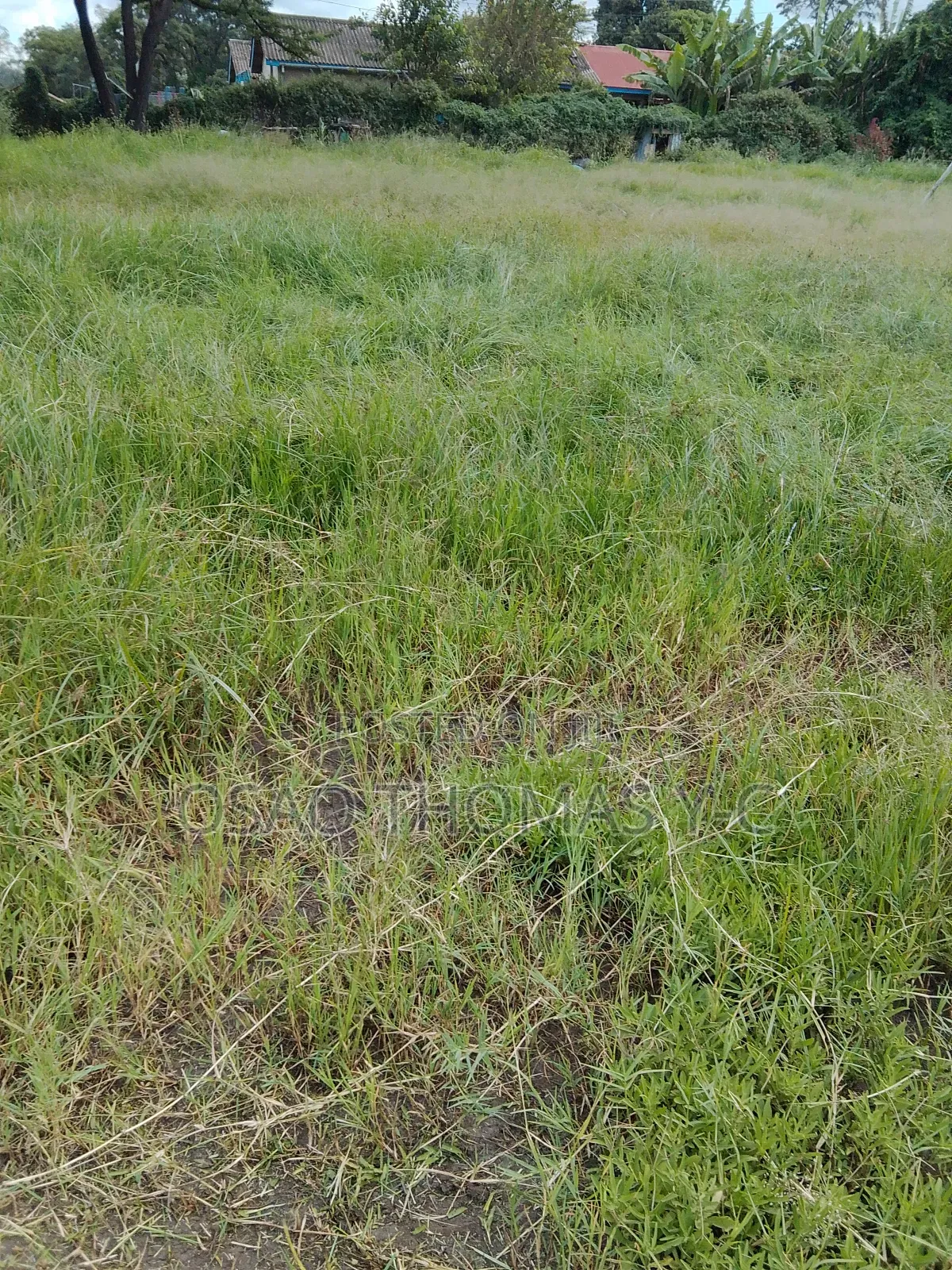 Landscaping and Grass Cutting