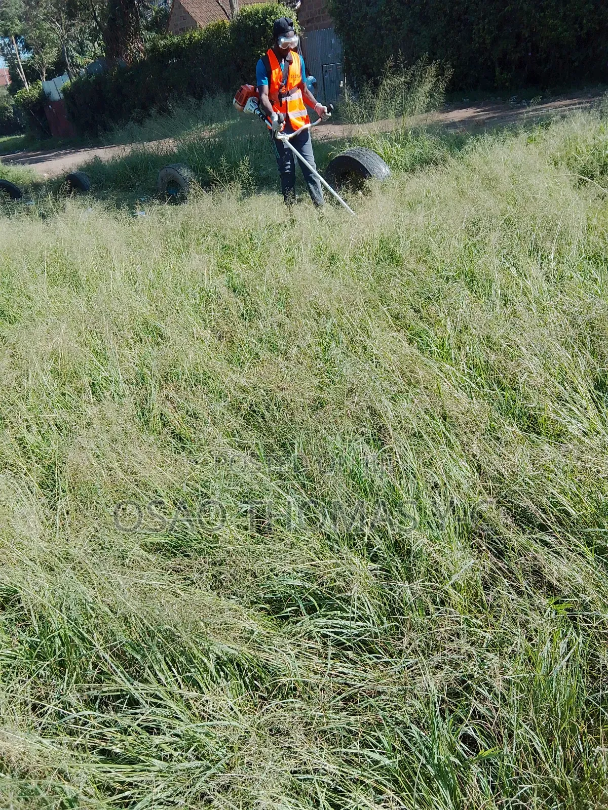 Landscaping and Grass Cutting